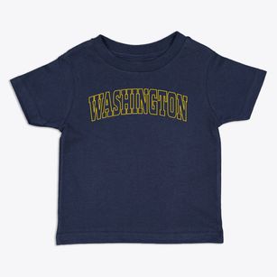 Washington Illinois Trendy Block Toddler T-Shirt