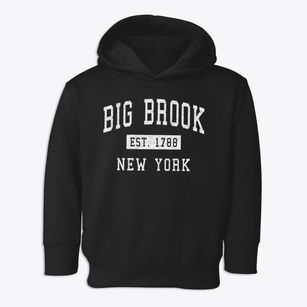 Big Brook New York Classic Established Toddler Hoodie