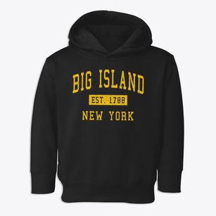 Big Island New York Classic Established Toddler Hoodie