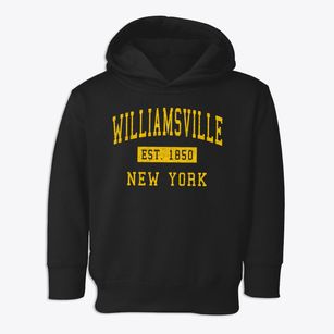 Williamsville New York Classic Established Toddler Hoodie