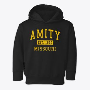 Amity Missouri Classic Established Toddler Hoodie