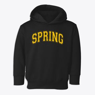 Spring Creek Lodge Academy Varsity Arch Toddler Hoodie
