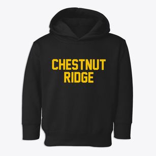 Chestnut Ridge New York Classic Block Toddler Hoodie