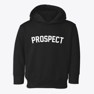 Prospect Pennsylvania Classic Curve Toddler Hoodie