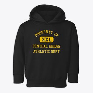 Central Bridge New York Athletic Dept Toddler Hoodie