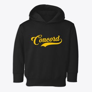 Concord New York Vintage Team Toddler Hoodie