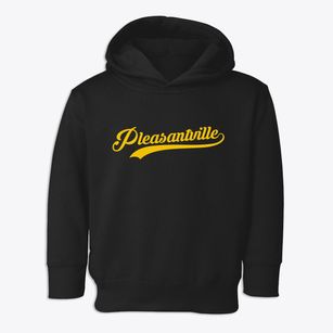 Pleasantville New York Vintage Team Toddler Hoodie