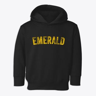 Emerald Wisconsin Timeless Retro Toddler Hoodie