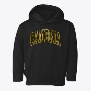 Cambria California Trendy Block Toddler Hoodie