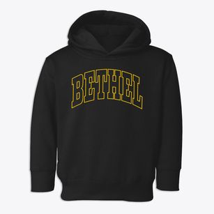 Bethel New York Trendy Block Toddler Hoodie
