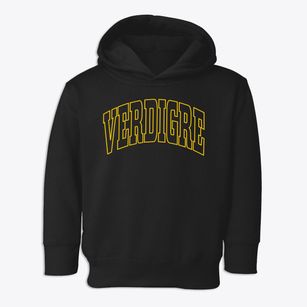 Verdigre Nebraska Trendy Block Toddler Hoodie