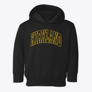 Kirkland Washington Trendy Block Toddler Hoodie