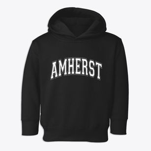 Amherst Wisconsin Varsity Toddler Hoodie