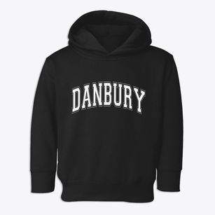 Danbury Wisconsin Varsity Toddler Hoodie