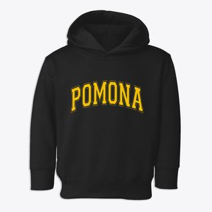 Pomona New Jersey Varsity Toddler Hoodie