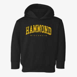 Hammond Wisconsin Urban Vibe Toddler Hoodie