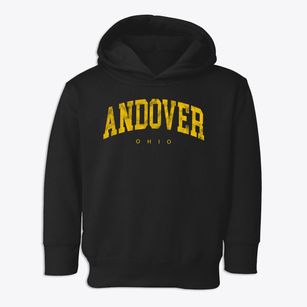 Andover Ohio Urban Vibe Toddler Hoodie