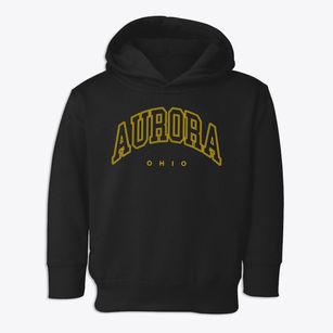 Aurora Ohio Inline Toddler Hoodie