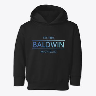 Baldwin Michigan Horizon Toddler Hoodie