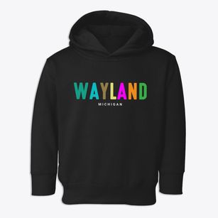 Wayland Michigan Color Pop Toddler Hoodie