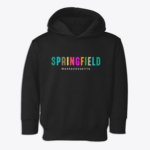 Springfield Massachusetts Color Pop Toddler Hoodie