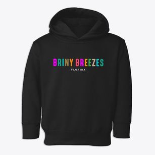 Briny Breezes Florida Color Pop Toddler Hoodie