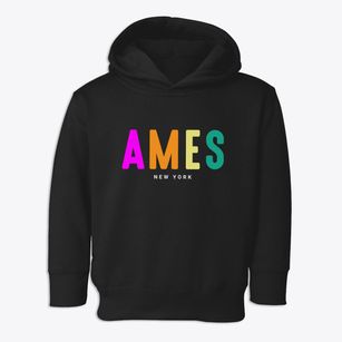 Ames New York Color Pop Toddler Hoodie