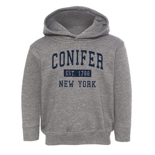 Conifer New York Classic Established Toddler Hoodie