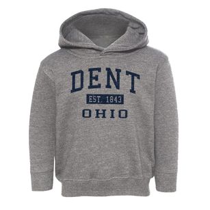 Dent Ohio Classic Established Toddler Hoodie