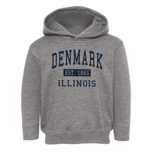 Denmark Illinois Classic Established Toddler Hoodie