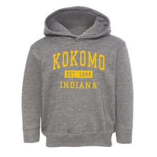 Kokomo Indiana Classic Established Toddler Hoodie