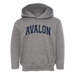 Avalon Elementary School Varsity Arch Toddler Hoodie