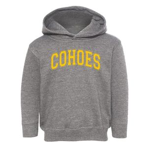 Cohoes Catholic School Varsity Arch Toddler Hoodie