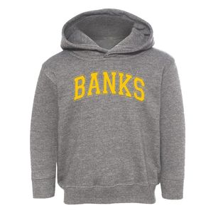 Banks Christian Academy Varsity Arch Toddler Hoodie