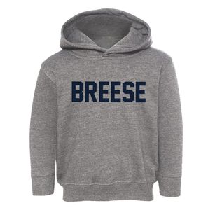 Breese Illinois Classic Block Toddler Hoodie
