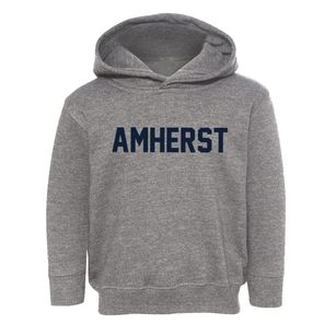Amherst Massachusetts Classic Block Toddler Hoodie