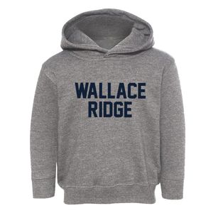 Wallace Ridge Louisiana Classic Block Toddler Hoodie