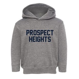 Prospect Heights Illinois Classic Block Toddler Hoodie