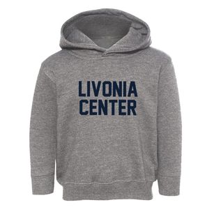 Livonia Center New York Classic Block Toddler Hoodie
