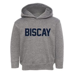 Biscay Minnesota Classic Block Toddler Hoodie