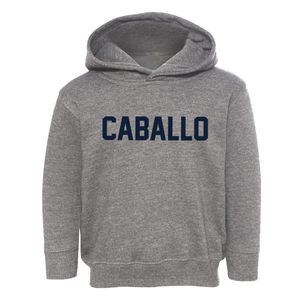 Caballo New Mexico Classic Block Toddler Hoodie