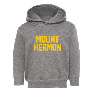 Mount Hermon New Jersey Classic Block Toddler Hoodie