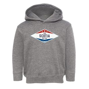 Scotia New York Diamond Star Toddler Hoodie