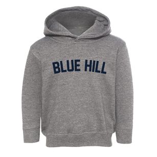 Blue Hill Nebraska Classic Curve Toddler Hoodie