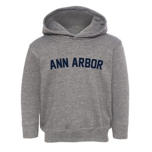 Ann Arbor Michigan Classic Curve Toddler Hoodie
