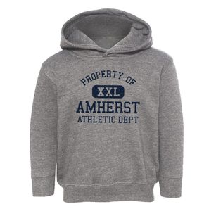 Amherst Massachusetts Athletic Dept Toddler Hoodie