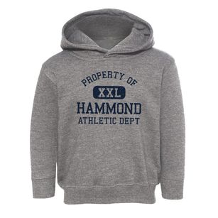 Hammond Wisconsin Athletic Dept Toddler Hoodie