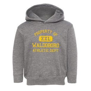 Waldoboro Maine Athletic Dept Toddler Hoodie