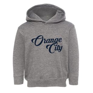 Orange City Iowa Vintage Team Toddler Hoodie