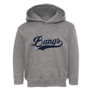 Bangs Texas Vintage Team Toddler Hoodie